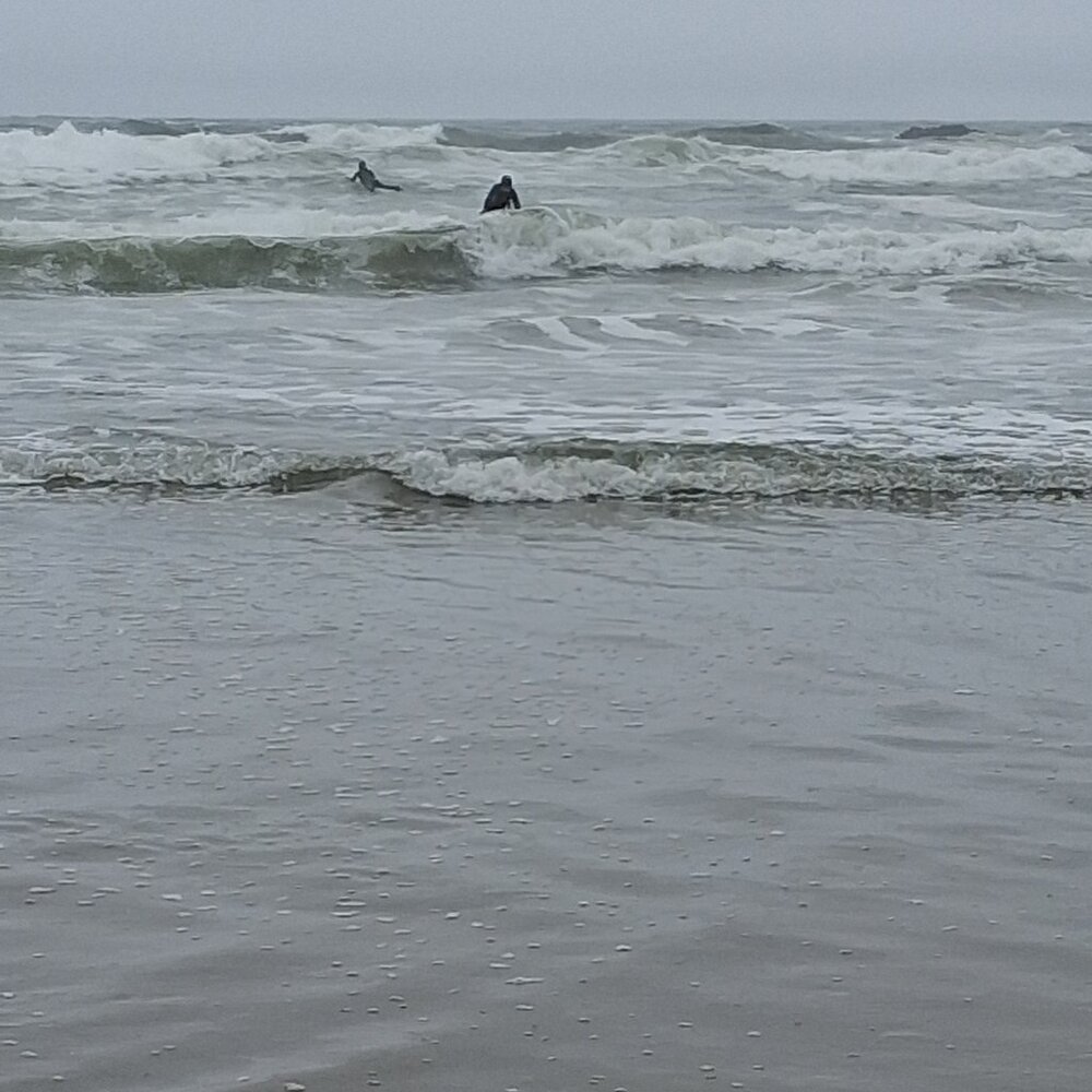 Meet your Posher, Jill